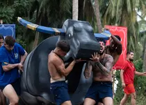 Desafio: Aventura - Ce se întâmplă în episodul din 13 ianuarie. Schimb de replici între Delia Salchievici și Nicolae Lupșor: „Jignești cu zâmbetul pe buze”