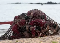 Proba extremă la Desafio: Aventura: concurenții prinși într-un „bulgăre uman” și aruncați în mare. „M-a nenorocit”. - Ce se întâmplă în ediția din 19 ianuarie