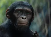 Franciza de 2 miliarde de dolari continuă: Un nou film „Planeta Maimuțelor” e oficial în lucru. Ce știm despre proiect