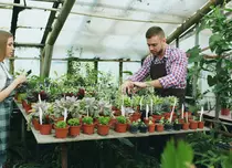 Angajatorii încep să posteze joburi pentru vară. Domeniile cu cele mai multe poziții deschise sunt retailul, construcțiile, industria alimentară / HoReCa și turismul