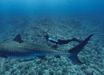 National Geographic aduce în iulie documentare spectaculoase. Tom Hiddleston, Pompeii și SharkFest, printre premiere