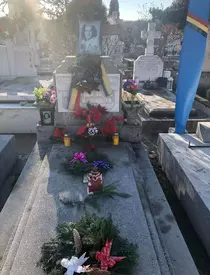 mormant-stela-popescu4