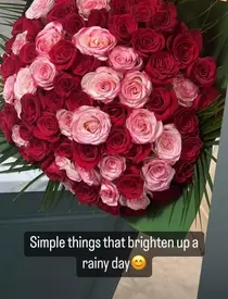 irina-tanase-la-un-an-de-la-despartirea-de-liviu-dragnea-3