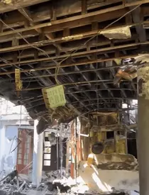 irinel columbeanu poze