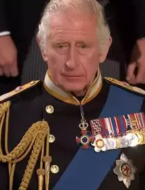 hepta_7553909-scaled-1