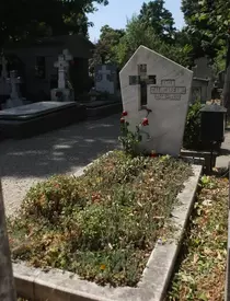 0-197798-calugareanu_anda