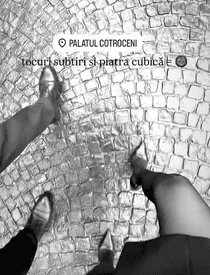 nicusor-dan-laura-cosoi-3