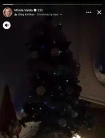 Mirela Vaida brad de Crăciun