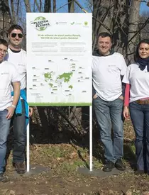 Să Plantăm pentru Planetă
