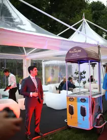 Alessandra Stoicescu si sotul ei, Sergiu Constantinescu