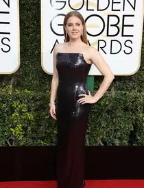 Darren Le Gallo si Amy Adams