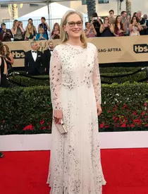 Vedete pe covorul roşu la Premiile SAG (Screen Actors Guild Awards)
