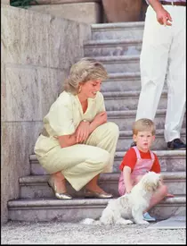 Prinţul Harry, ipostaze uimitoare de-a lungul anilor! Cât de protectoare era Lady Di cu el