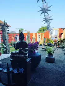 Delia, vacanță uimitoare în India