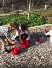 Pastele in familia Elenei Basescu