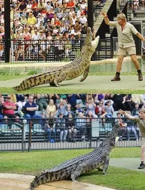 Îl mai știi pe Steve Irwin, "Vânătorul de crocodili"? Fiul lui în vârstă de 15 ani își riscă viața la fel ca tatăl său!