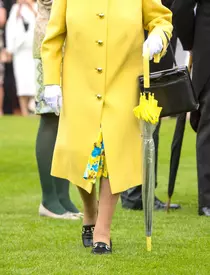 Ce culoare nu poartă niciodată Regina Elisabeta a II-a. Motivul pare ciudat, dar are o explicație!