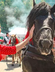Vicepremierul bling-bling! Raluca Turcan, mâna dreaptă a lui Ludovic Orban, a investit o avere în aspectul său fizic