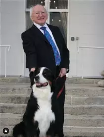 Câinii președintelui Irlandei, la fel de faimoși ca stăpânul lor! De Bród și Síoda s-au îndrăgostit și Ducii de Sussex