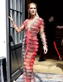 Céline Dion a fost operată în mare secret. Artista a avut foarte multe probleme de sănătate, în ultimii ani