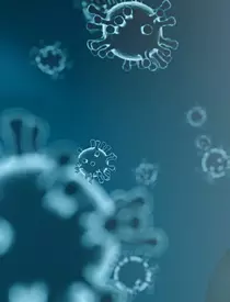 89988011_2743349172428528_112983083271061504_o-2