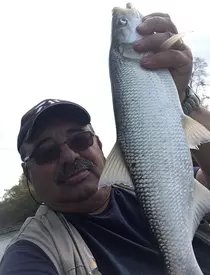 a-murit-victor-tarus