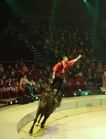 68662752_2307224832927711_5228161117011836928_o