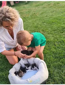 Copiii-Mirelei-Vaida-