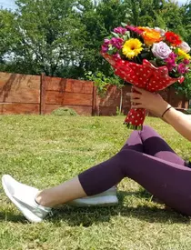 Daniela Ploia, accident