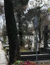 Oana Pellea cimitirul Bellu