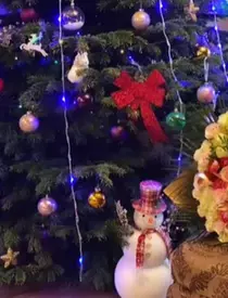 121006228_2301826396630147_2559453679596334050_n