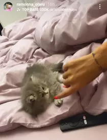 269951150_3055468914696721_260561957675986310_n