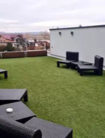 OANA rOMAN IN VACANTA