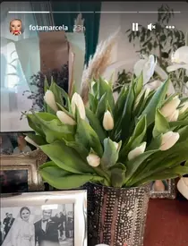 marcela-1-598×1024-1