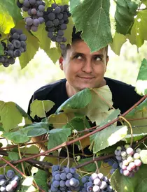 67455577_2442423255814978_3844431604676034560_n