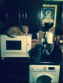 Casa lui Carmen Tanase