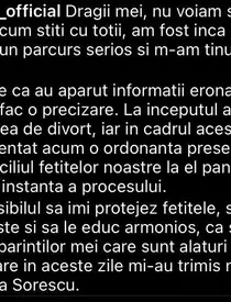 Alina Sorescu divort