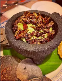 Irina-Fodor-819×1024-1