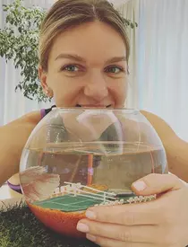 simona-halep-7-1