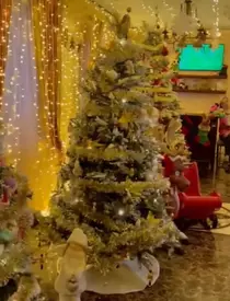 whatsapp-image-2022-12-21-at-18.50.20