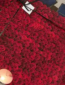 whatsapp-image-2023-01-17-at-16.22.20-1