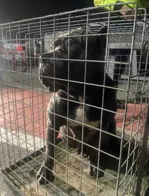 331774774_717033773255199_1260281768784582470_n