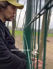 whatsapp-image-2023-04-20-at-15.24.05