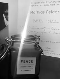 pelger-stepgan