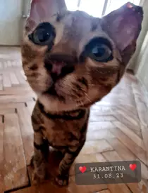 370285381_6683645818396336_4487623061370154546_n