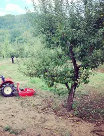 371744859_319171367234884_3022519659563870682_n