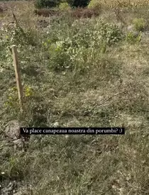 379924135_272903178898952_1973316624532170058_n