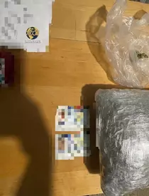 image-2023-09-15-26536150-0-canabis-ridicat-urma-perchezitiilor-facute-dosarul-lui-vlad-pascu-1