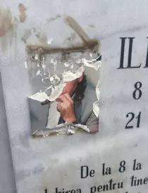 2d5ca081-973c-4867-9a1a-7756299da14b