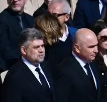 bolo